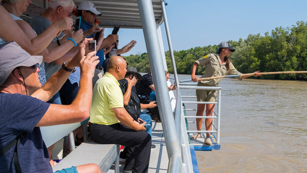 darwin crocodile tours