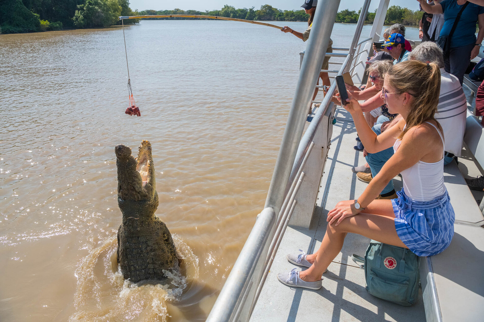 jumping crocodile tours adelaide river